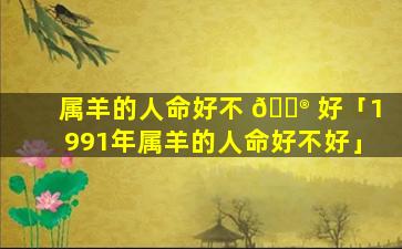 属羊的人命好不 💮 好「1991年属羊的人命好不好」
